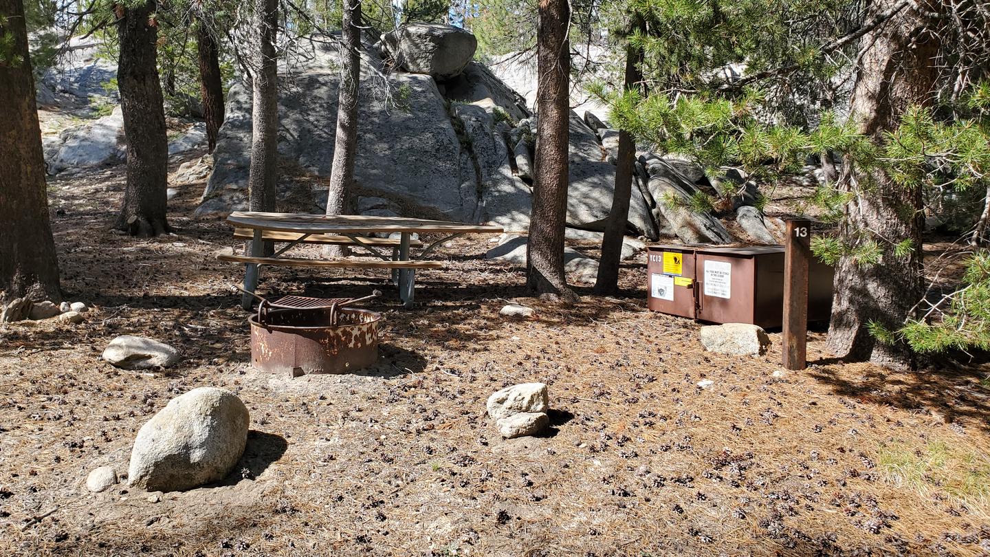 Yosemite Creek Site #13 Close-Up