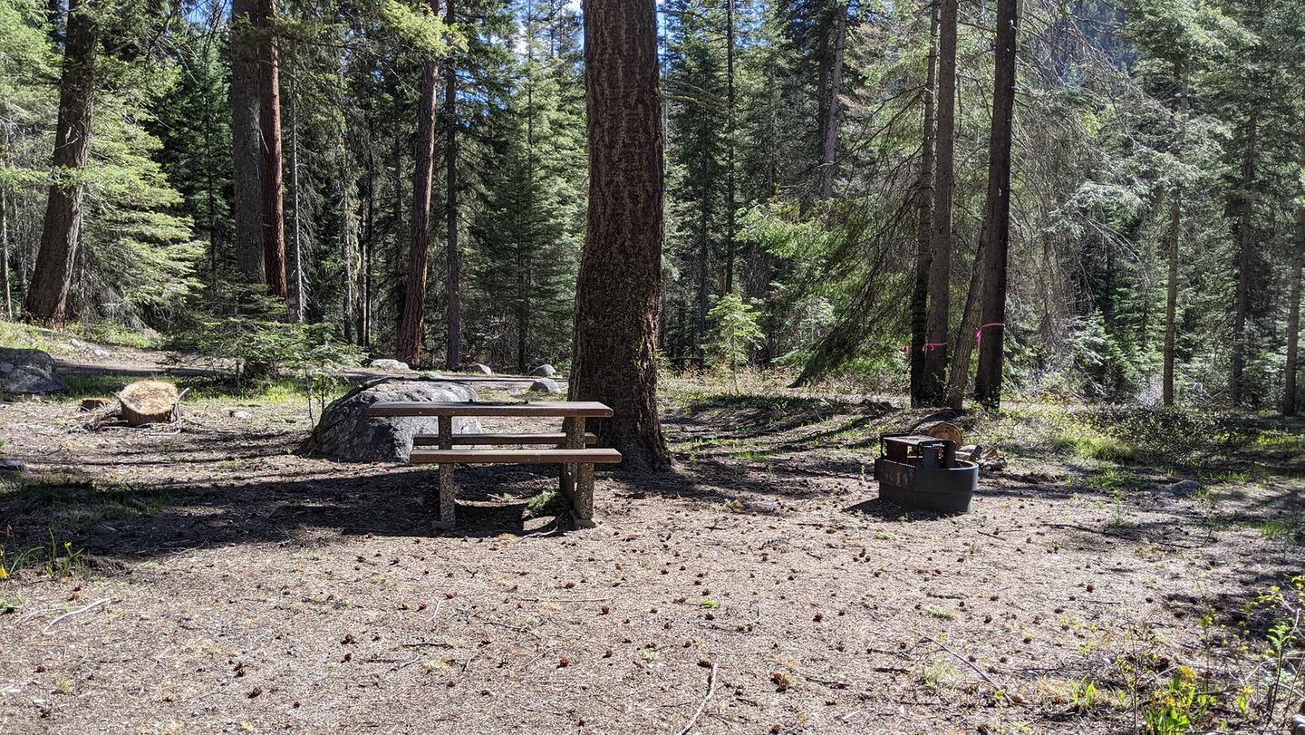 Forested and open campsite with picnic table and fire pit.Last Chance Campground
