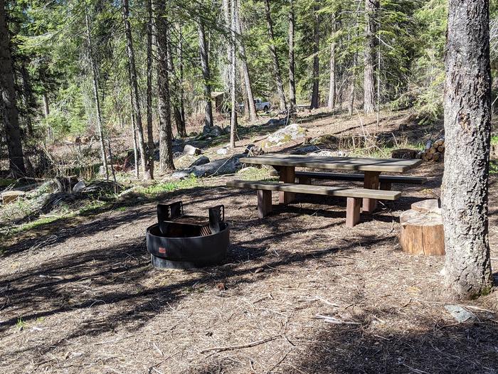 Forested campsiteCampsite in Last Chance Campground