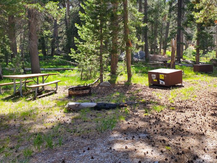 Yosemite Creek Site #22