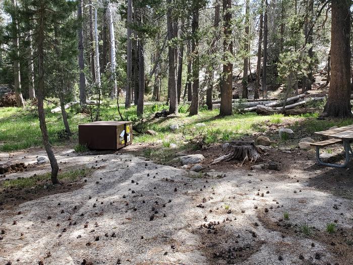 Yosemite Creek Site #26
