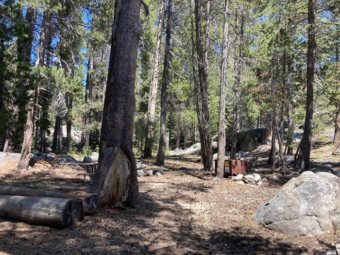 Yosemite Creek site 76