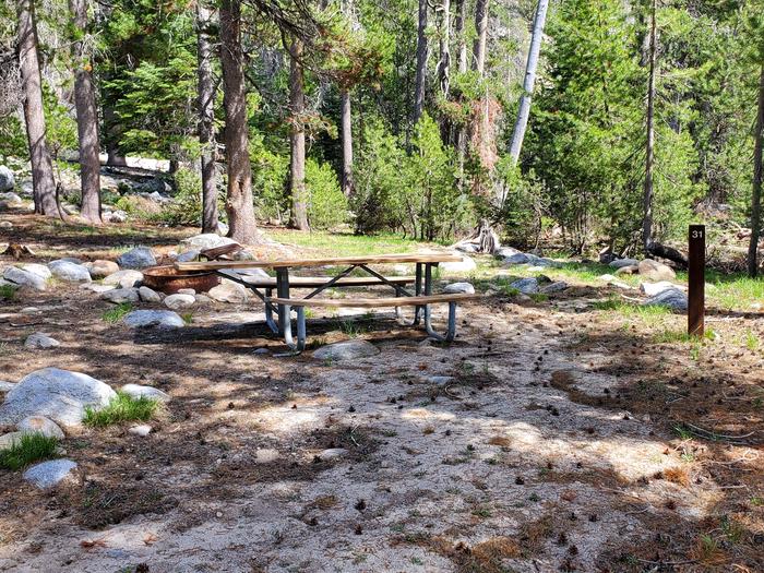 Yosemite Creek Site #31