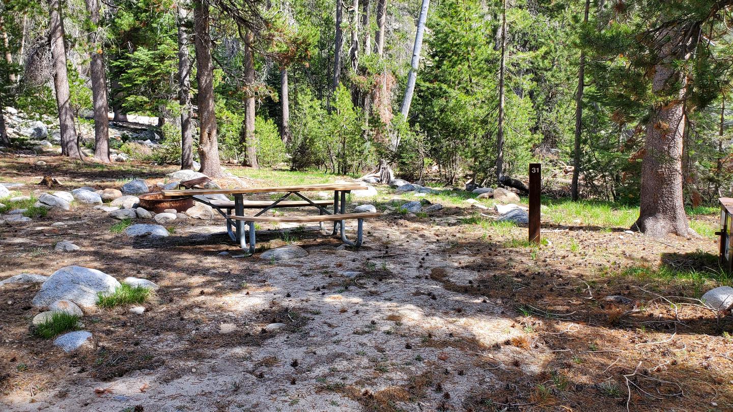 Yosemite Creek Site #31 Close-Up