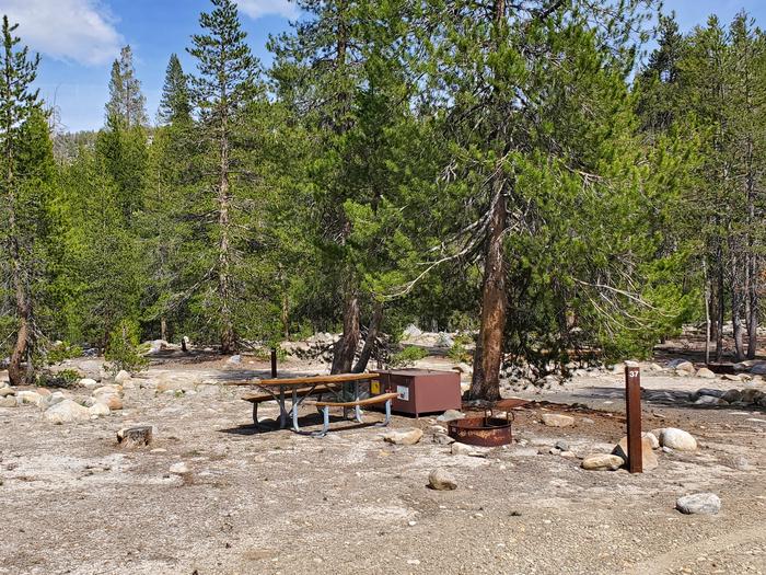 Yosemite Creek Site #37