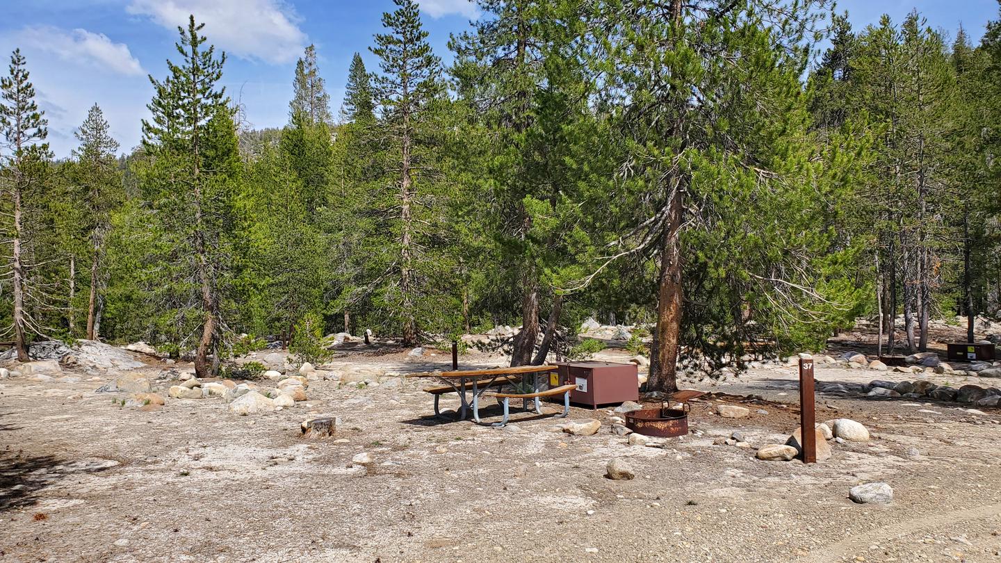 Yosemite Creek Site #37 Close-Up