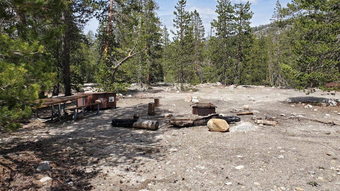 Yosemite Creek Site #39 Close-Up
