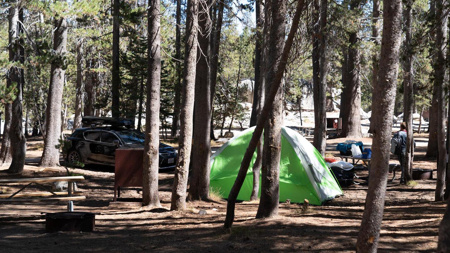 Tent site at White Wolf campground