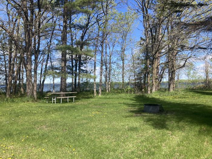 A photo of Site 009 of Loop KNUTSON DAM at Bimijiwan Recreation Area with Picnic Table, Fire Pit, Waterfront