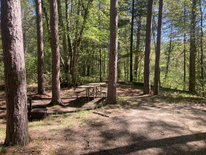 A photo of Site 160 of Loop Wanaki at WANAKI LOOP with Picnic Table, Fire Pit