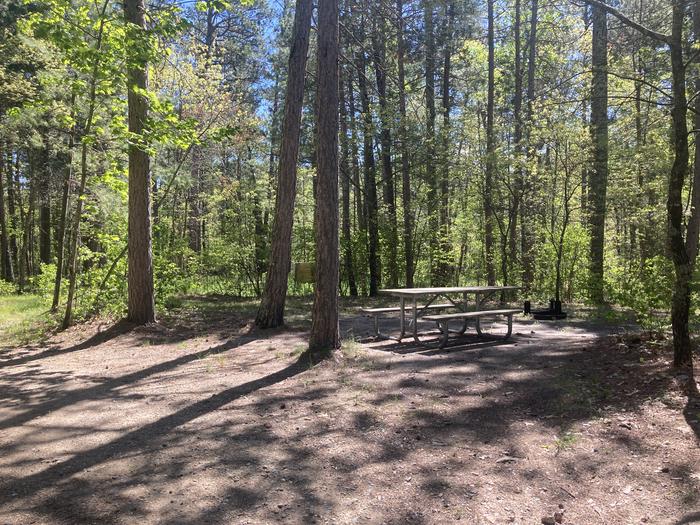 A photo of Site 157 of Loop Wanaki at WANAKI LOOP with Picnic Table, Fire Pit