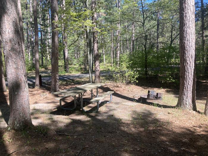 A photo of Site 162 of Loop Wanaki at WANAKI LOOP with Picnic Table, Fire Pit