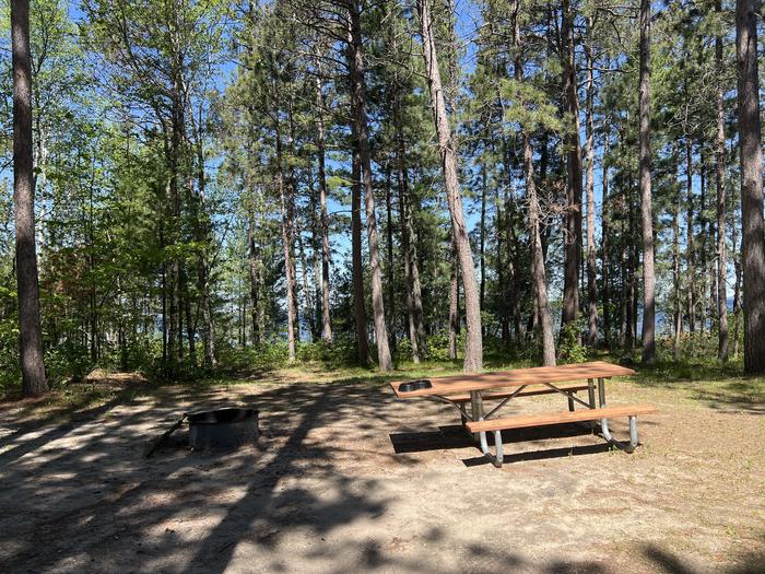A photo of Site 156 of Loop Wanaki at WANAKI LOOP with Picnic Table, Fire Pit, Shade