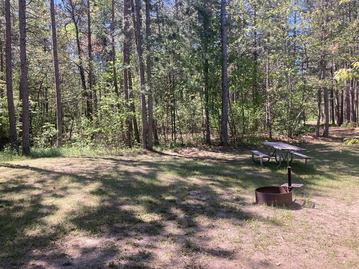 A photo of Site 151 of Loop Wanaki at WANAKI LOOP with Picnic Table, Fire Pit