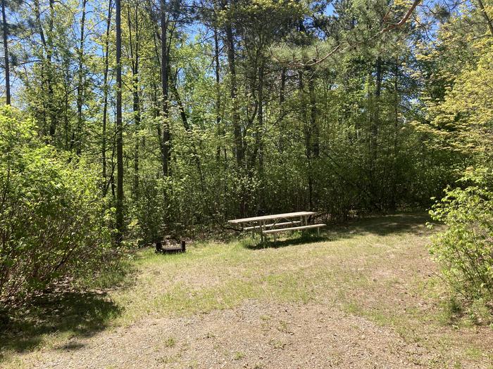 A photo of Site 140 of Loop WANAKI LOOP at WANAKI LOOP with Picnic Table, Fire Pit