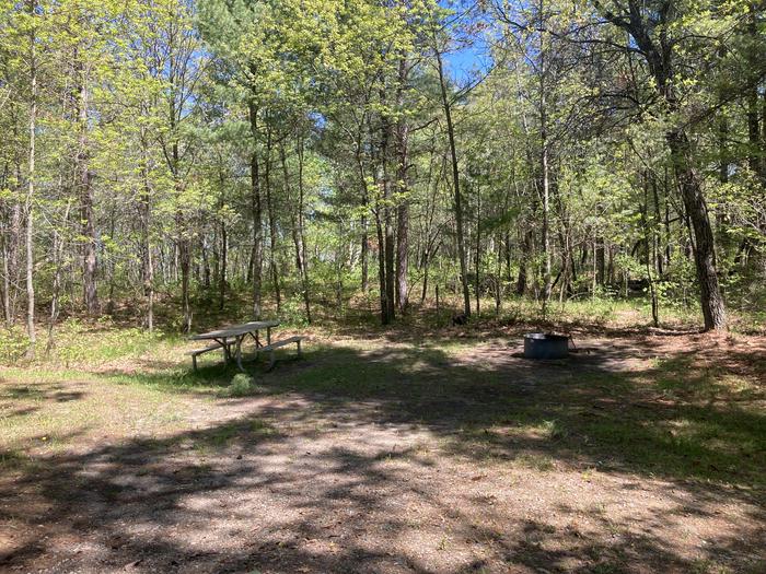A photo of Site 143 of Loop WANAKI LOOP at WANAKI LOOP with Picnic Table, Fire Pit, Tent Pad