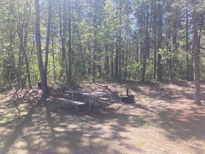 A photo of Site 153 of Loop Wanaki at WANAKI LOOP with Picnic Table, Fire Pit