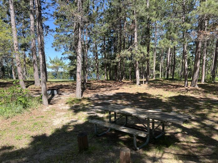 A photo of Site 150 of Loop Wanaki at WANAKI LOOP with Picnic Table, Fire Pit, Shade, Waterfront