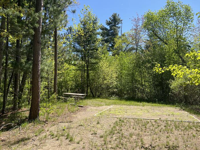 A photo of Site 001 of Loop CASS LAKE LOOP at CASS LAKE LOOP with Picnic Table, Fire Pit, Tent Pad