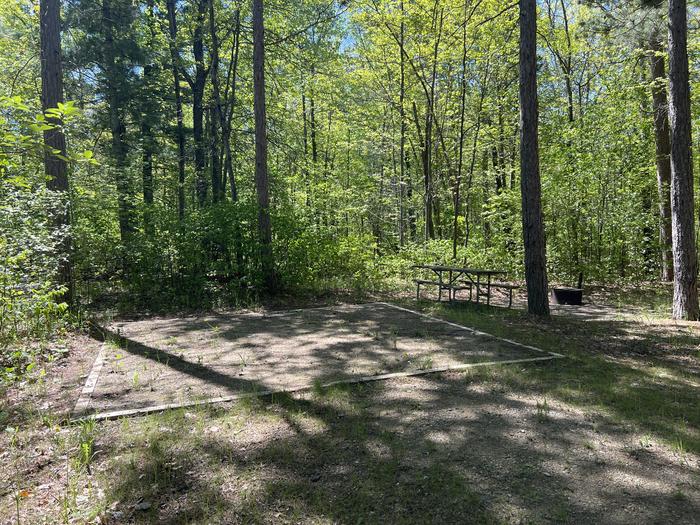 A photo of Site 004 of Loop CASS LAKE LOOP at CASS LAKE LOOP with Picnic Table, Fire Pit, Shade, Tent Pad