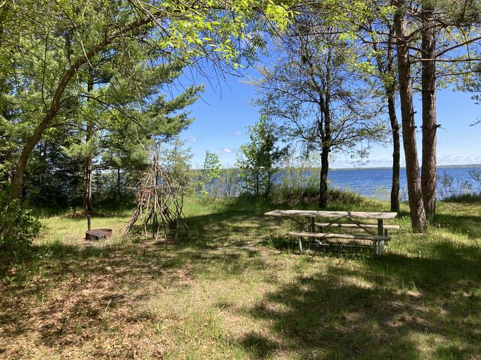 A photo of Site 007 of Loop CASS LAKE LOOP at CASS LAKE LOOP with Picnic Table, Fire Pit