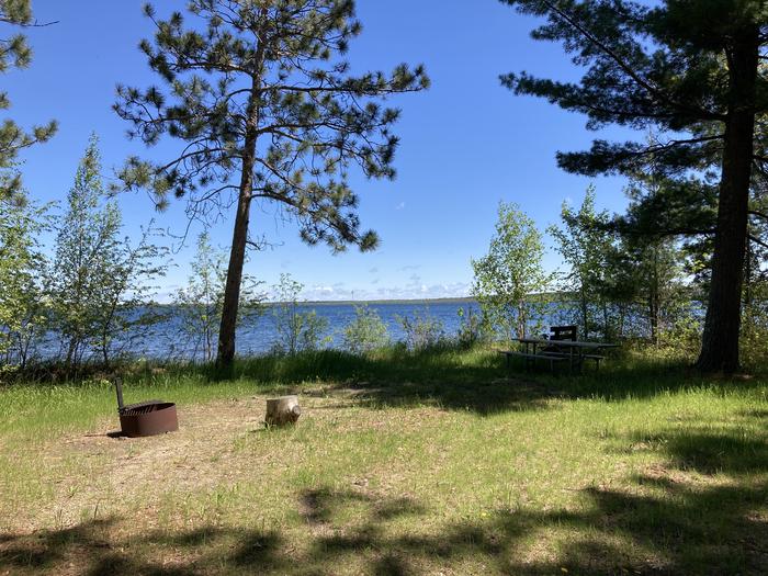 A photo of Site 003 of Loop CASS LAKE LOOP at CASS LAKE LOOP with Picnic Table, Fire Pit, Waterfront