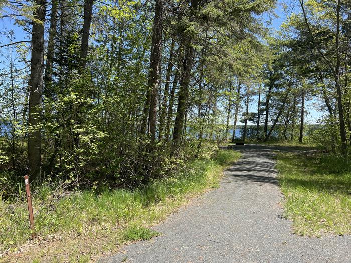 A photo of Site 010 of Loop CASS LAKE LOOP at CASS LAKE LOOP with No Amenities Shown