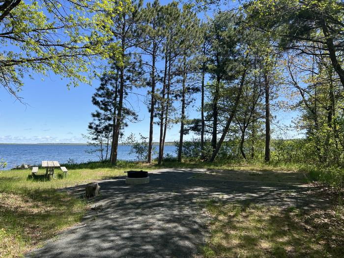 A photo of Site 010 of Loop CASS LAKE LOOP at CASS LAKE LOOP with Picnic Table, Fire Pit, Shade, Tent Pad, Waterfront