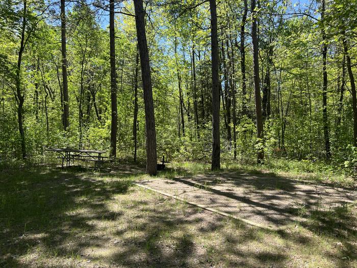 A photo of Site 006 of Loop CASS LAKE LOOP at CASS LAKE LOOP with Picnic Table, Fire Pit, Shade, Tent Pad