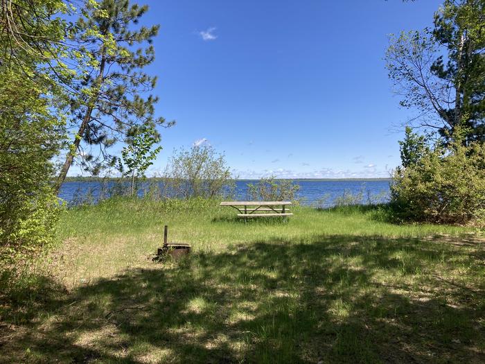 A photo of Site 009 of Loop CASS LAKE LOOP at CASS LAKE LOOP with Picnic Table, Fire Pit, Waterfront