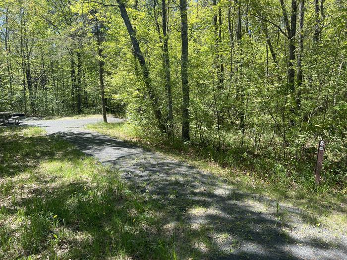 A photo of Site 008 of Loop CASS LAKE LOOP at CASS LAKE LOOP with No Amenities Shown