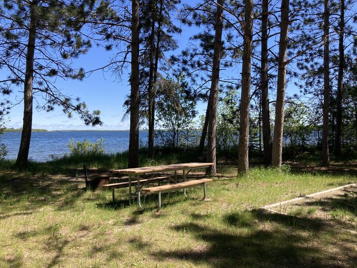 A photo of Site 005 of Loop CASS LAKE LOOP at CASS LAKE LOOP with Picnic Table, Fire Pit, Tent Pad, Waterfront