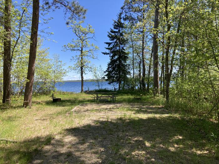 A photo of Site 011 of Loop CASS LAKE LOOP at CASS LAKE LOOP with Picnic Table, Fire Pit, Waterfront