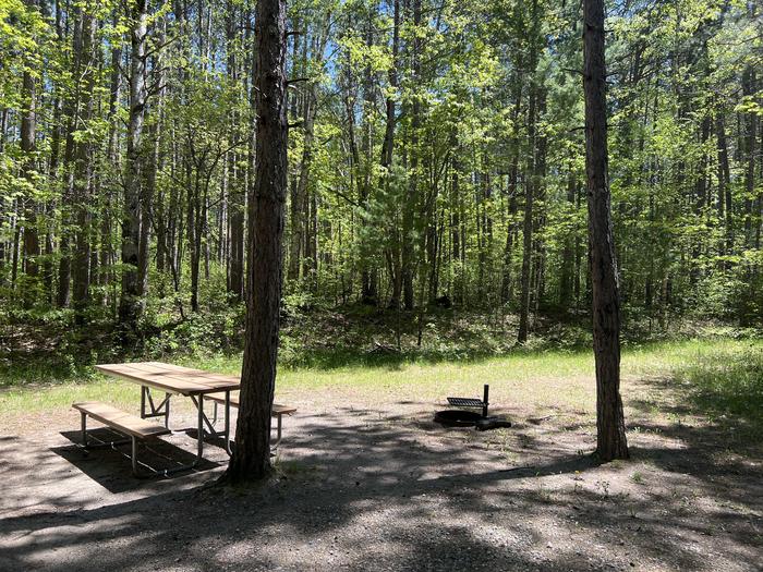 A photo of Site 035 of Loop NORW at NORWAY BEACH LOOP with Picnic Table, Fire Pit, Shade