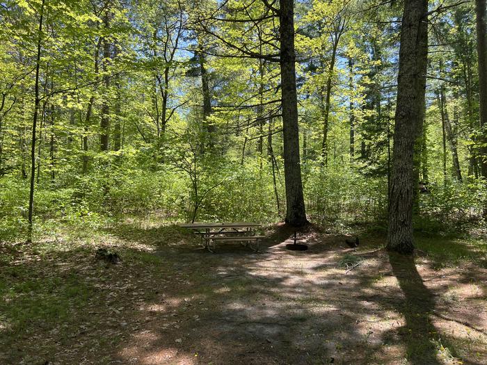 A photo of Site 025 of Loop NORW at NORWAY BEACH LOOP with Picnic Table, Fire Pit, Shade