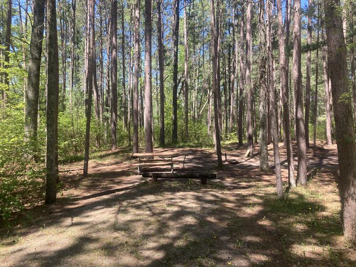 A photo of Site 046 of Loop NORW at NORWAY BEACH LOOP with Picnic Table, Fire Pit