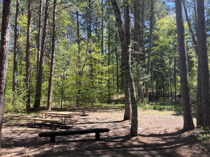 A photo of Site 051 of Loop NORW at NORWAY BEACH LOOP with Picnic Table, Fire Pit