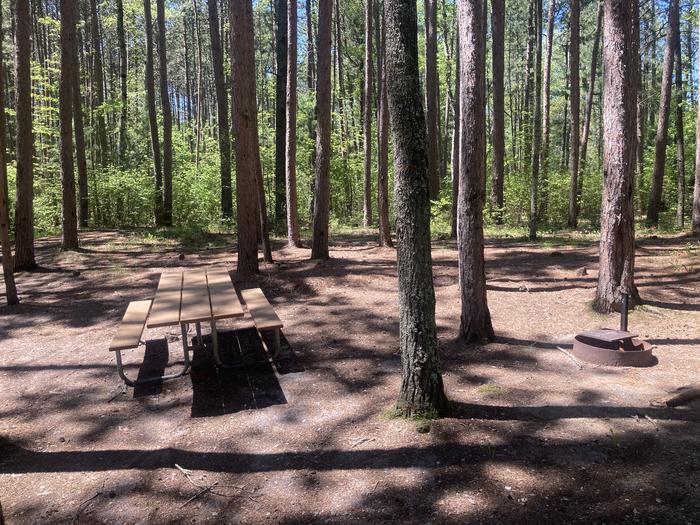 A photo of Site 044 of Loop NORW at NORWAY BEACH LOOP with Picnic Table, Fire Pit