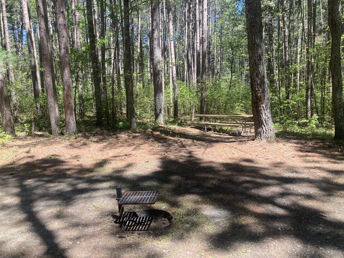 A photo of Site 039 of Loop NORW at NORWAY BEACH LOOP with Picnic Table, Fire Pit