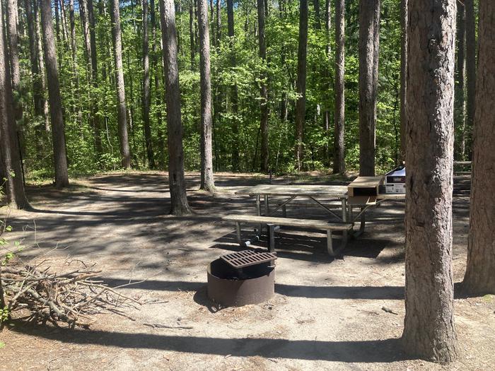 A photo of Site 098 of Loop CHIP at CHIPPEWA LOOP with Picnic Table, Electricity Hookup, Fire Pit