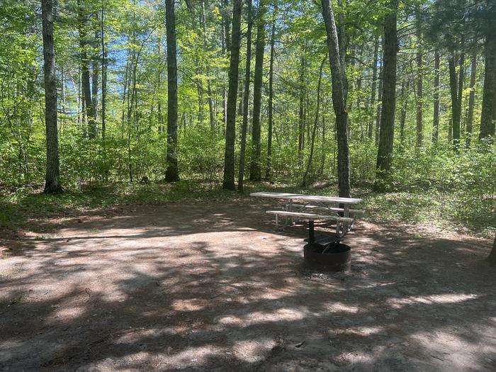 A photo of Site 080 of Loop CHIP at CHIPPEWA LOOP with Picnic Table, Fire Pit, Shade