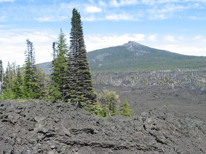 Rugged black lava and cinder tone with treesBasalt lava flow at McKenzie pass with Belknap in the background 