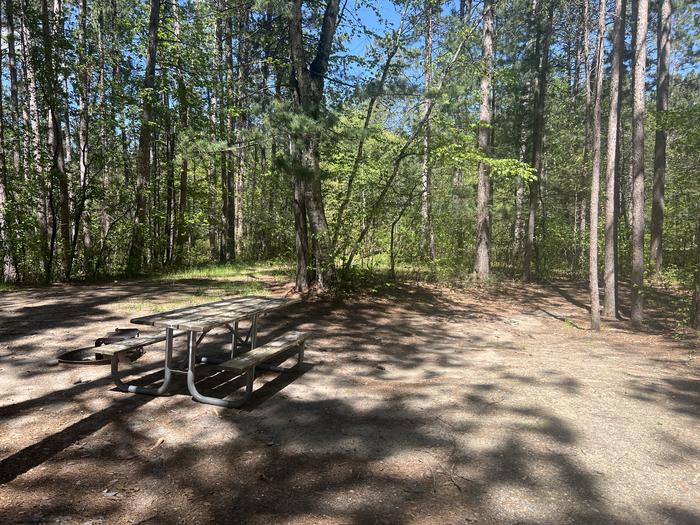 A photo of Site 089 of Loop CHIP at CHIPPEWA LOOP with Picnic Table, Fire Pit