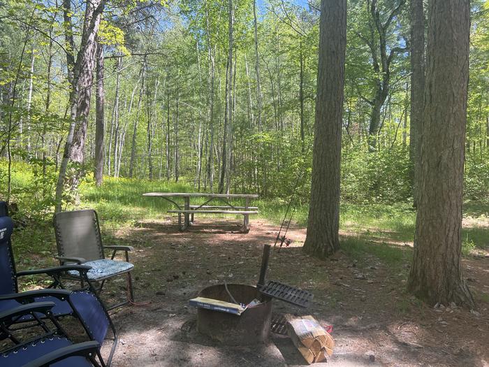 A photo of Site 082 of Loop CHIP at CHIPPEWA LOOP with Picnic Table, Fire Pit
