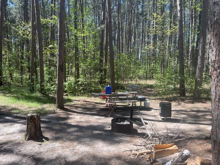 A photo of Site 097 of Loop CHIP at CHIPPEWA LOOP with Picnic Table, Fire Pit
