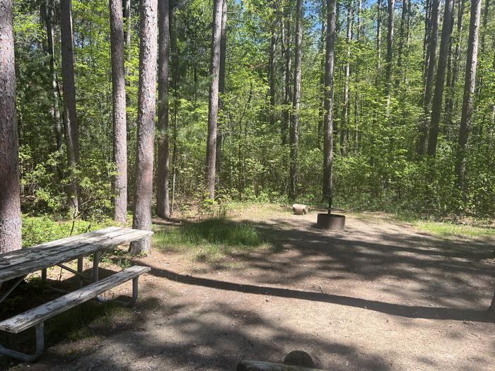 A photo of Site 090 of Loop CHIP at CHIPPEWA LOOP with Picnic Table, Fire Pit