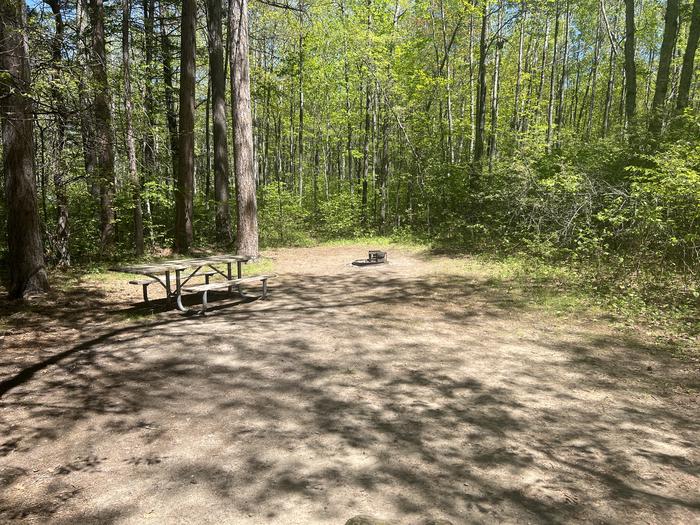 A photo of Site 086 of Loop CHIP at CHIPPEWA LOOP with Picnic Table, Fire Pit