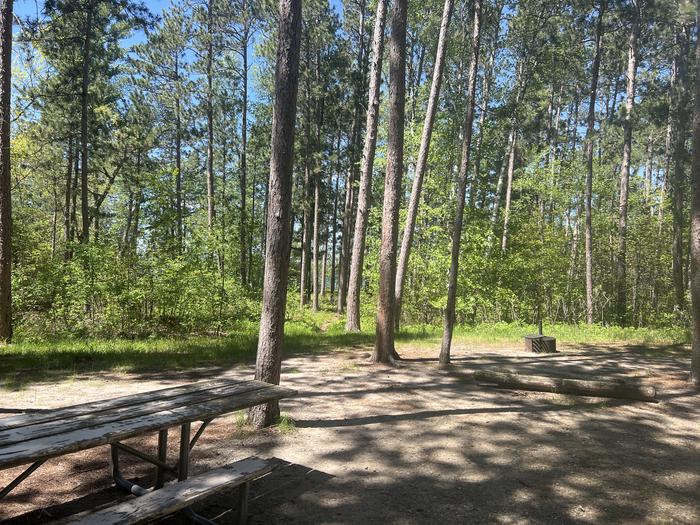 A photo of Site 095 of Loop CHIP at CHIPPEWA LOOP with Picnic Table, Fire Pit, Shade, Waterfront