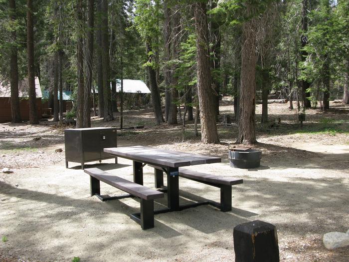 Billy Creek Lower #01picnic table, fire pit and bear box 