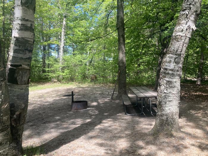 A photo of Site 001 of Loop WILLIAMS NARROWS  at WILLIAMS NARROWS with Picnic Table, Fire Pit